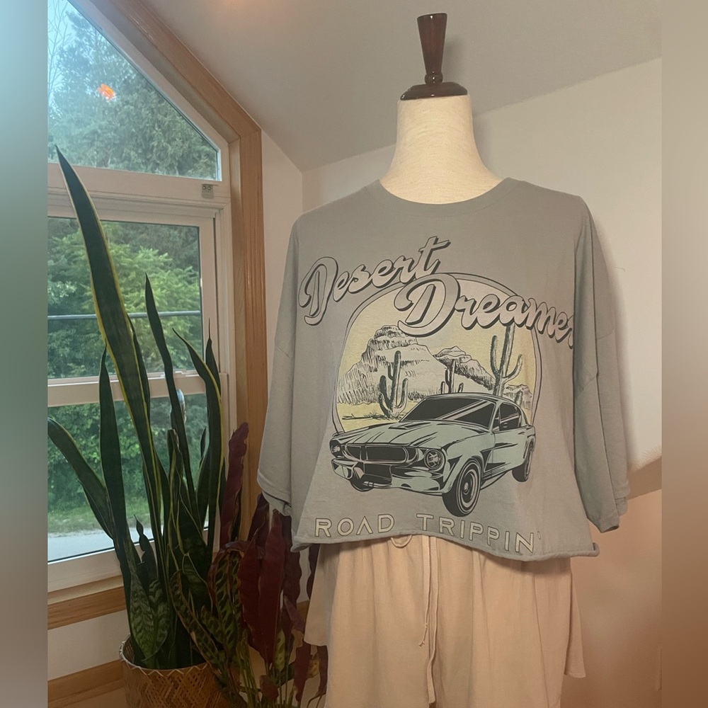Goodie Two Sleeves: Gray Graphic Tee